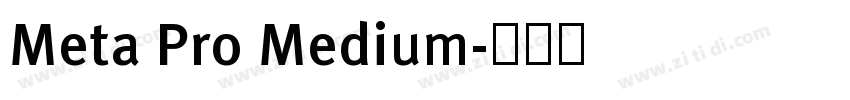 Meta Pro Medium字体转换